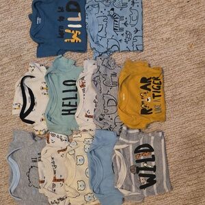 Baby Onesies Set with Animal Prints